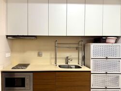 The Miltonia Residences (D27), Condominium #449971371